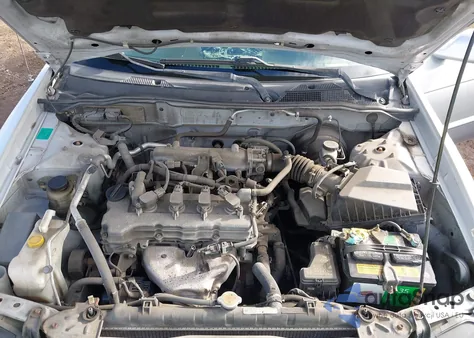 2006 Nissan Sentra 1.8S z USA, uszkodzony, nr VIN 3N1CB51D46L562391